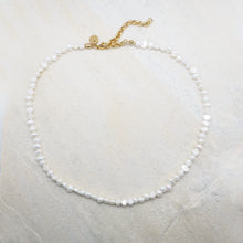 Lade das Bild in den Galerie-Viewer, NOSTALGIC BEAR NECKLACE LIGHT GREEN